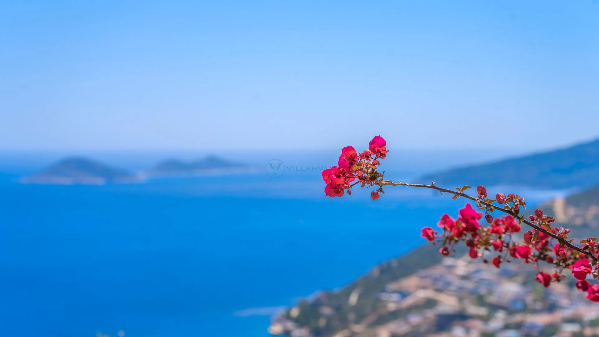 Villa Horizon