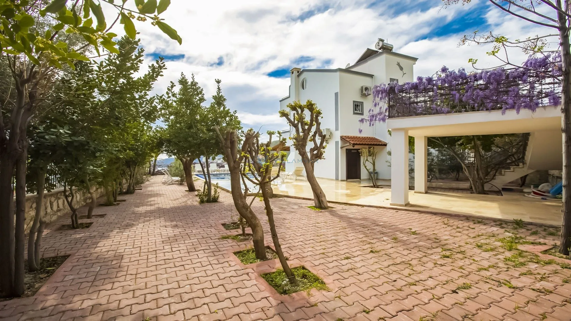 Villa Dama