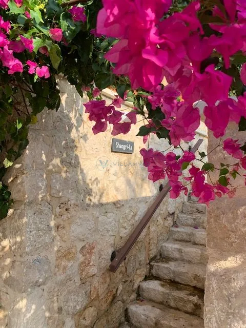 Villa Shangri La