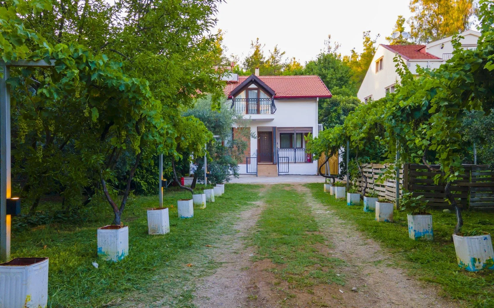 Villa Cesi