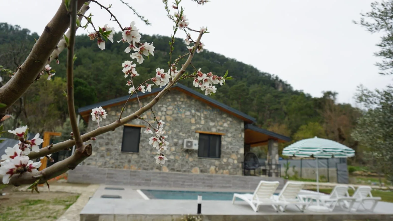 Villa Gonca