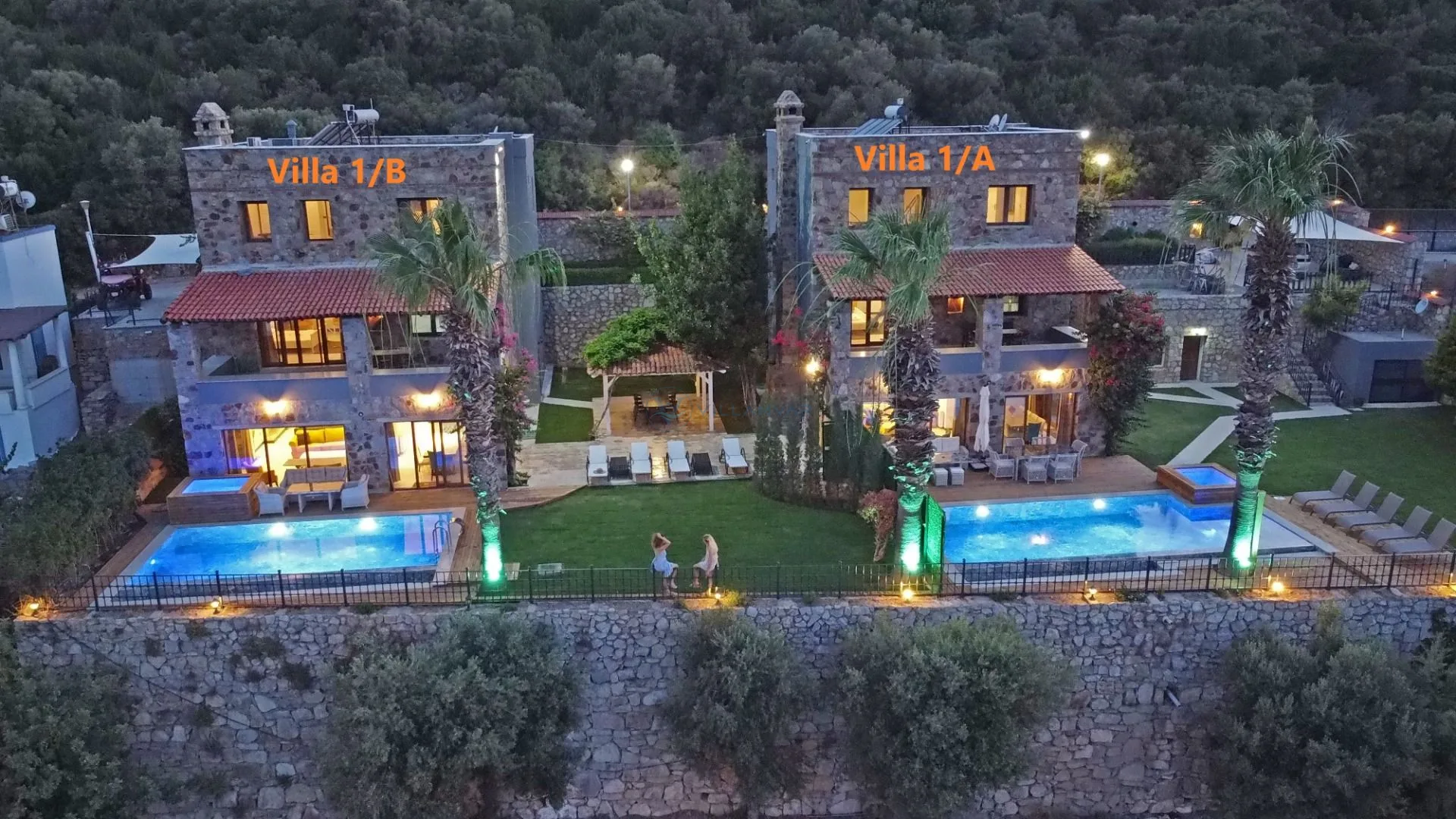 Villa Erik Çiçeği 2