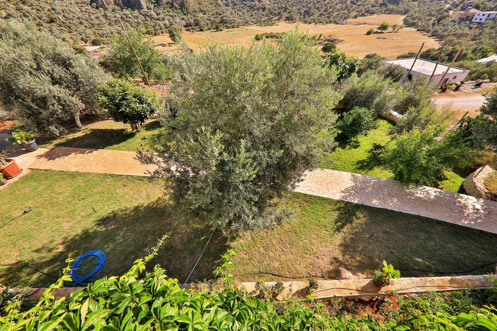 Villa Çalıkuşu