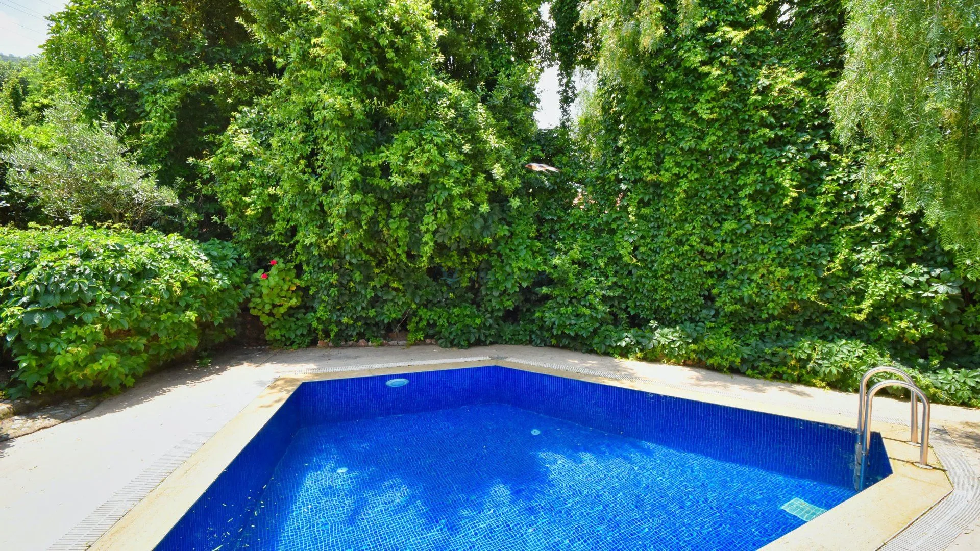Villa Rumi