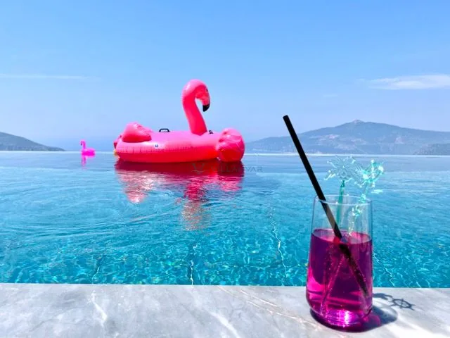 Villa Bıçak