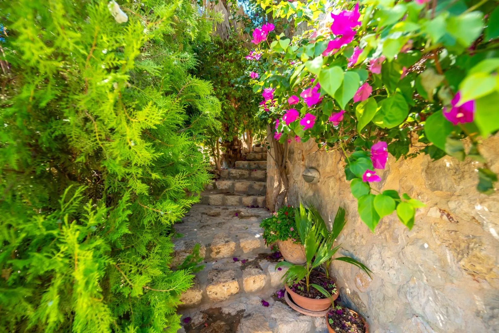 Villa Melisa Ali Kırca