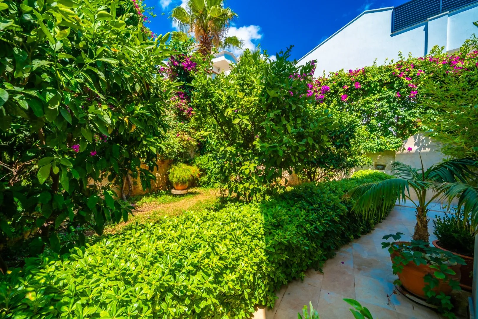 Villa Melisa Ali Kırca