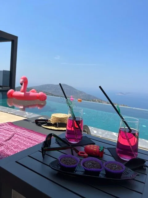 Villa Bıçak