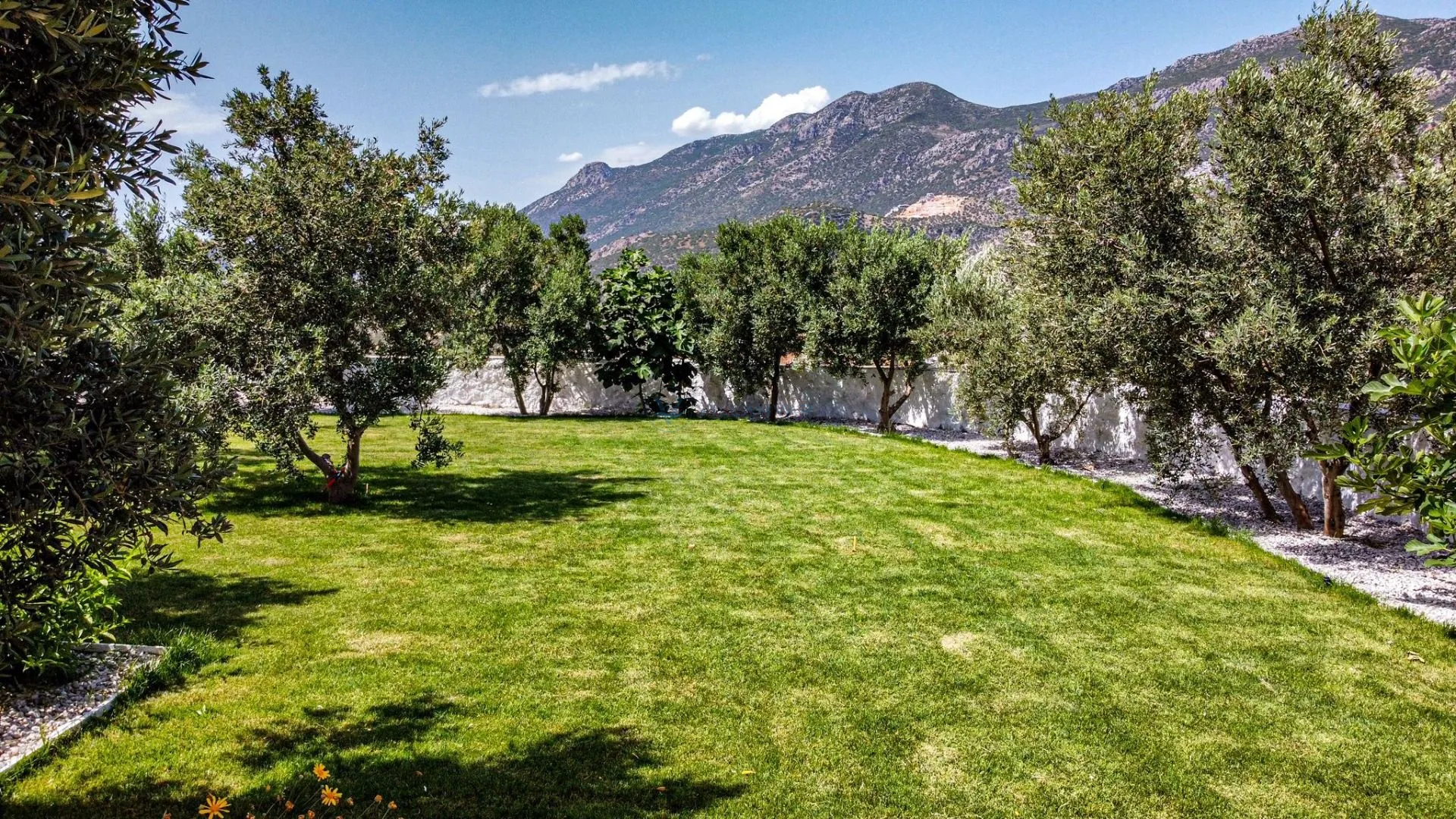 Villa Aristo