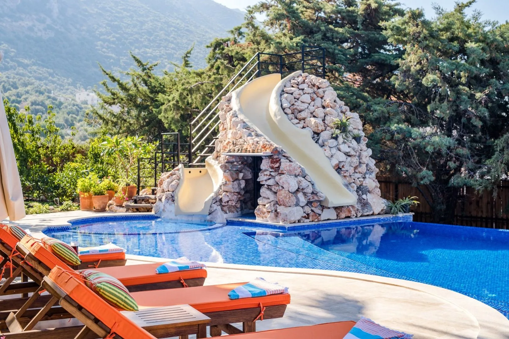 Kaktus Evi