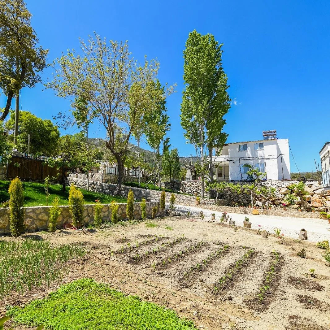 Villa Barış