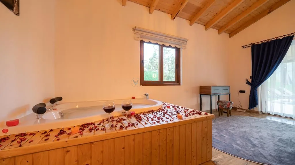 Villa Zarya