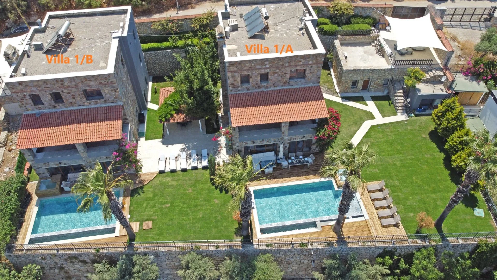Villa Erik Çiçeği 1