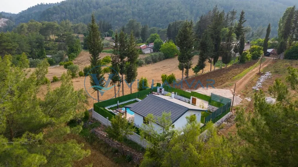 Villa Zarya