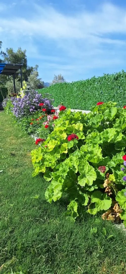 Villa Green Breeze
