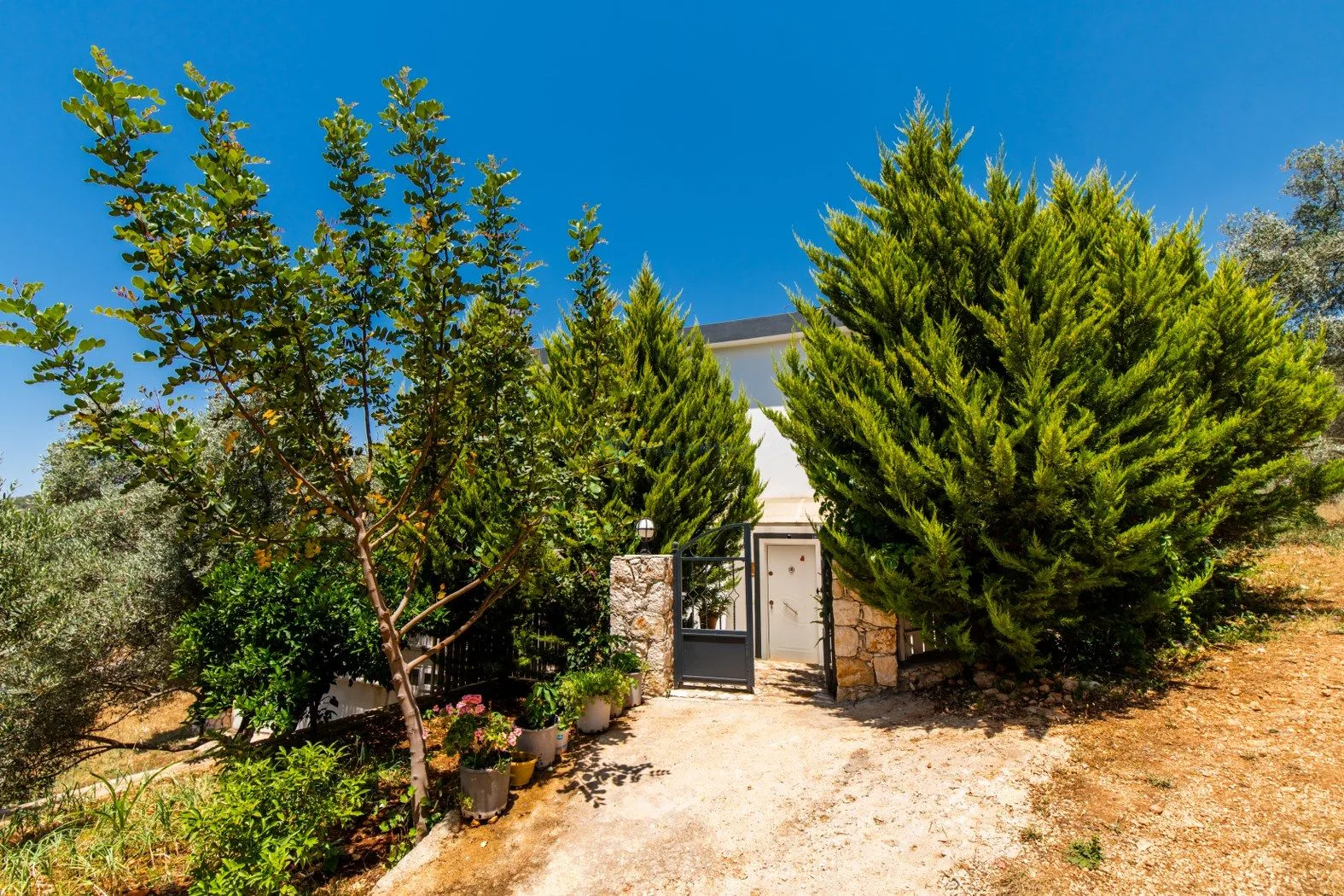 Villa Petek Sadece ÖN Ödeme