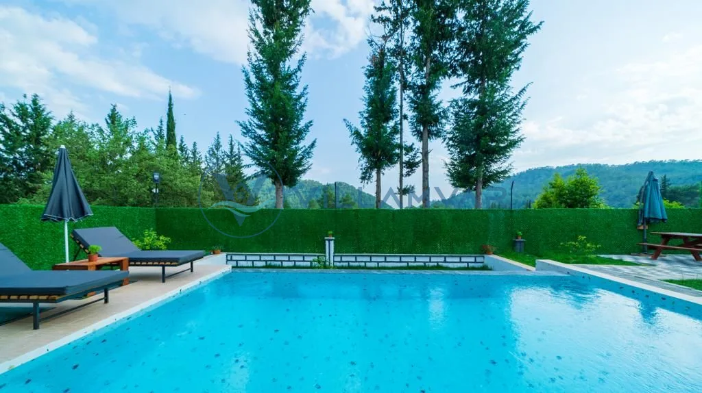 Villa Zarya
