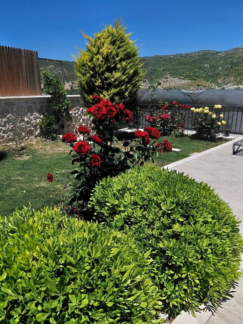 Villa Çamdibi