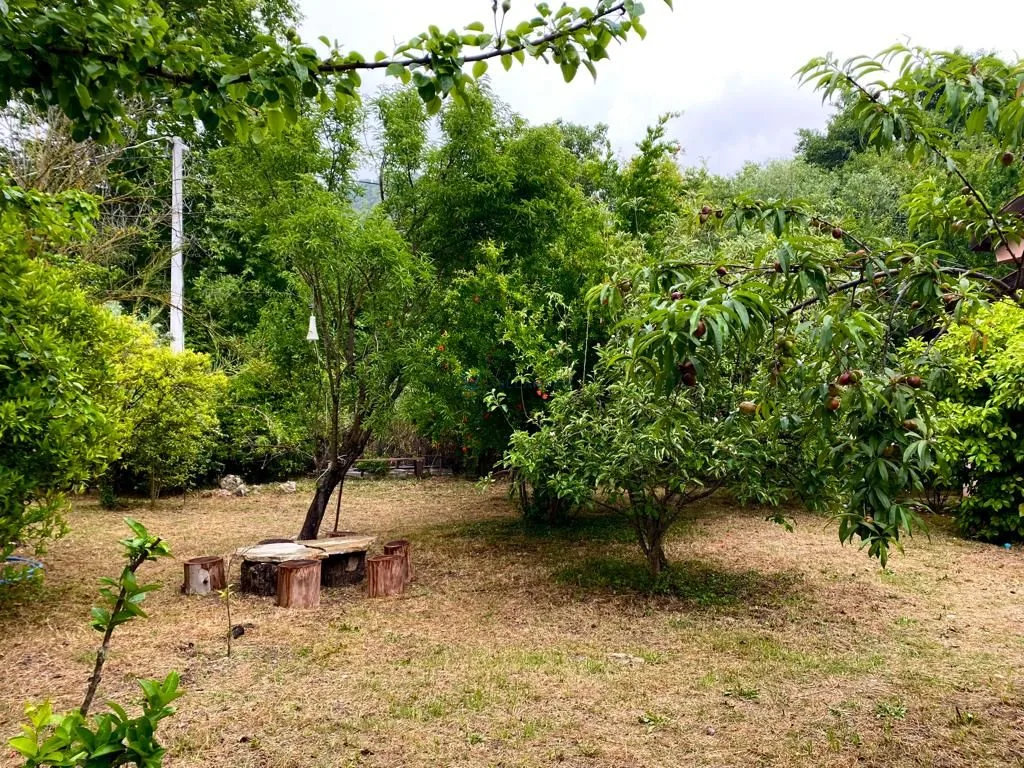 Villa Doğal 1