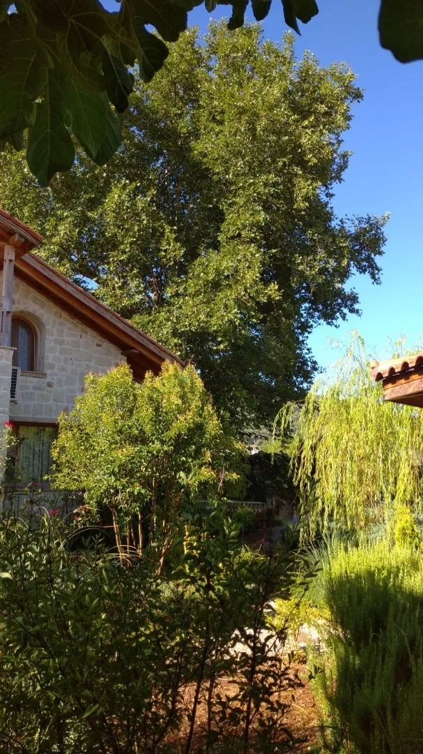 Villa Kumrum