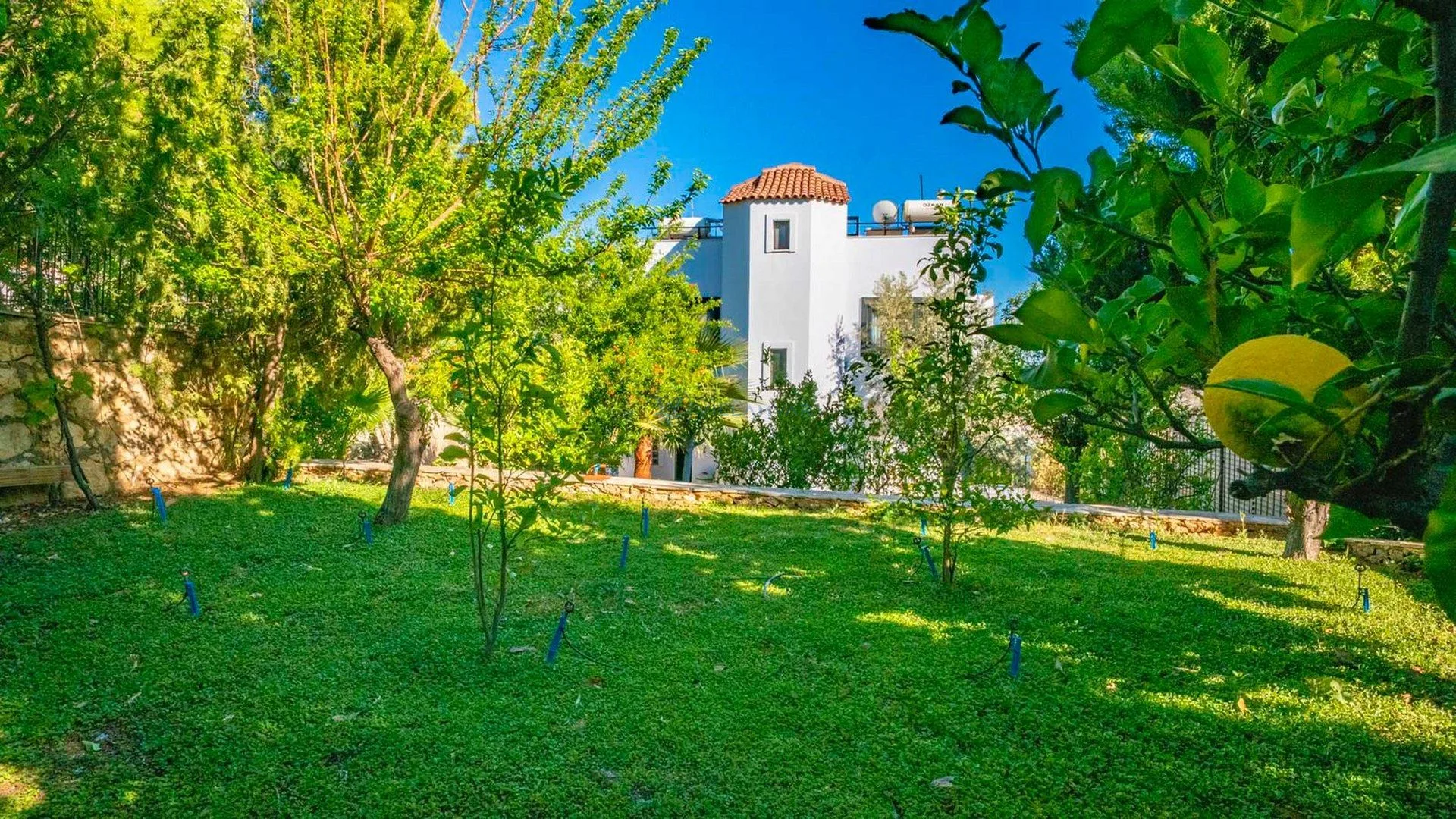 Villa Batum