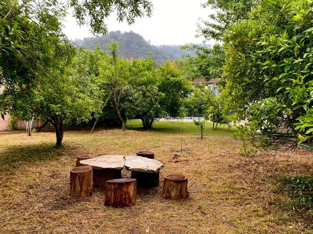 Villa Doğal 1