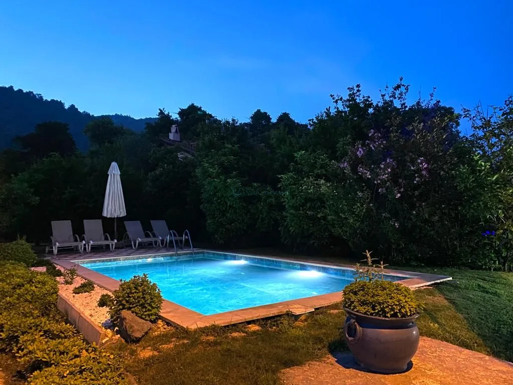 Villa Doğal 1