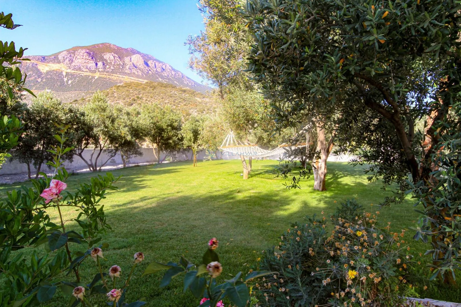Villa Aristo