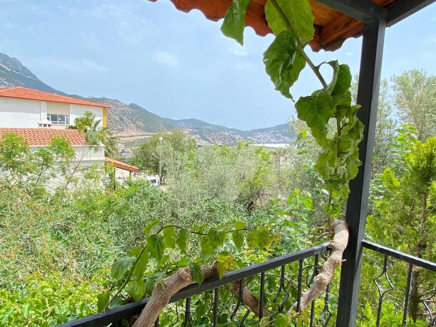 Villa Leton Kleo 1