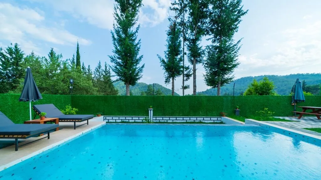 Villa Zarya