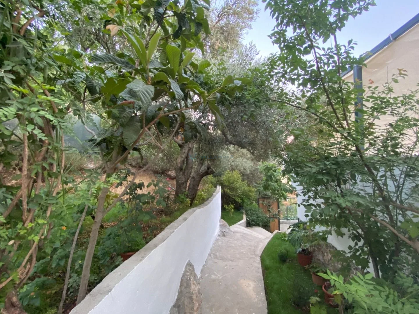 Villa Zeytin Sarnıç