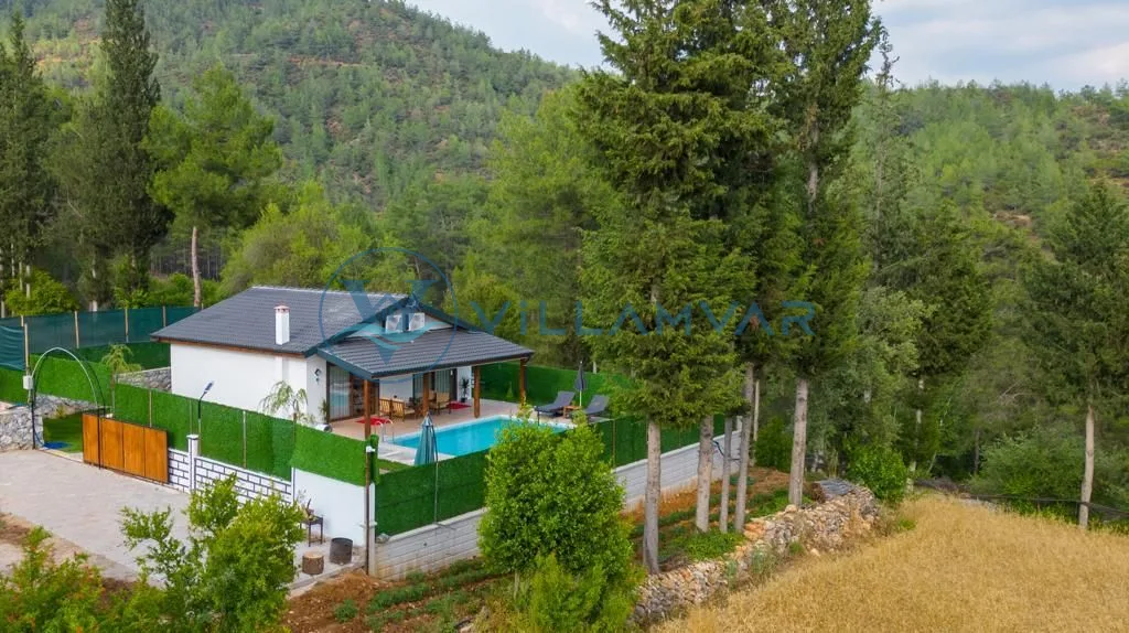 Villa Zarya