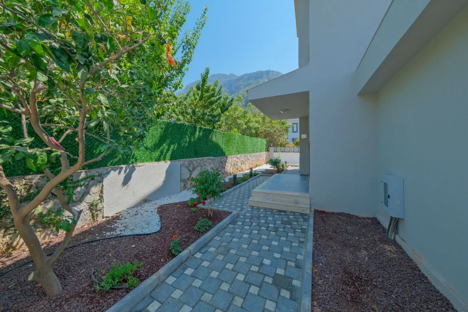 Villa Safra 1