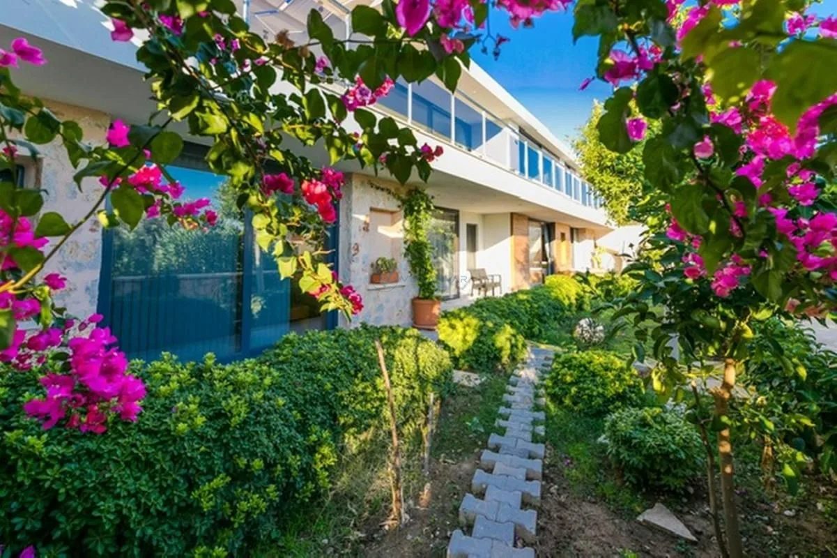 Azure Luxury Villas