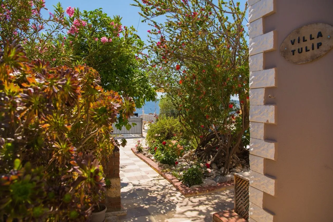 Villa Tulip