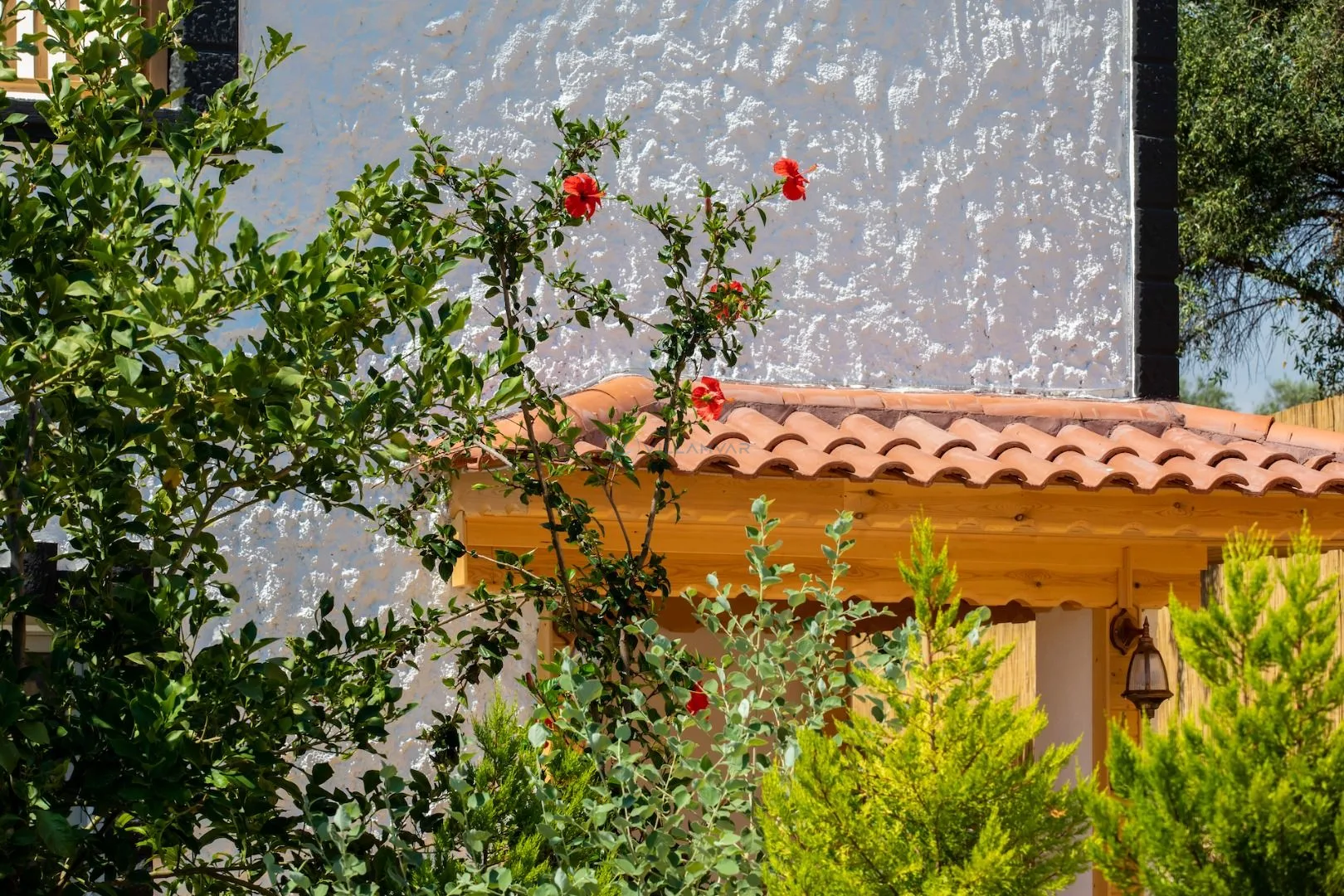 Villa Grenda 1