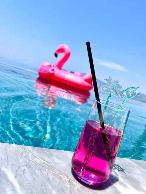 Villa Bıçak