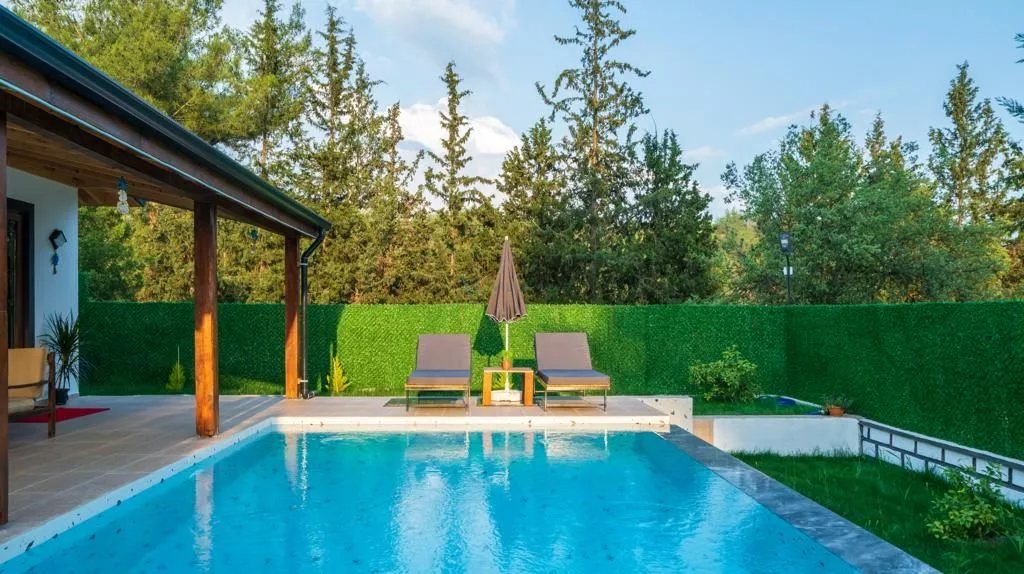Villa Zarya
