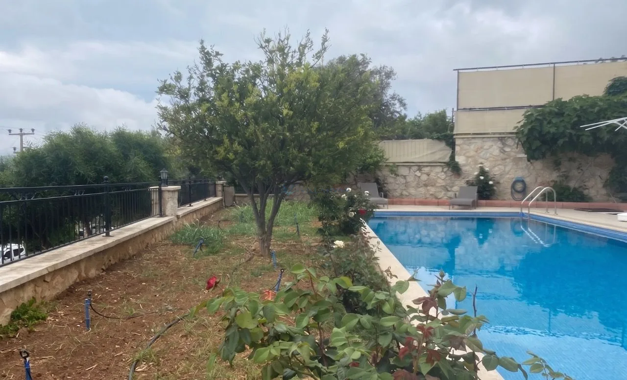 Villa Z Yeli 1