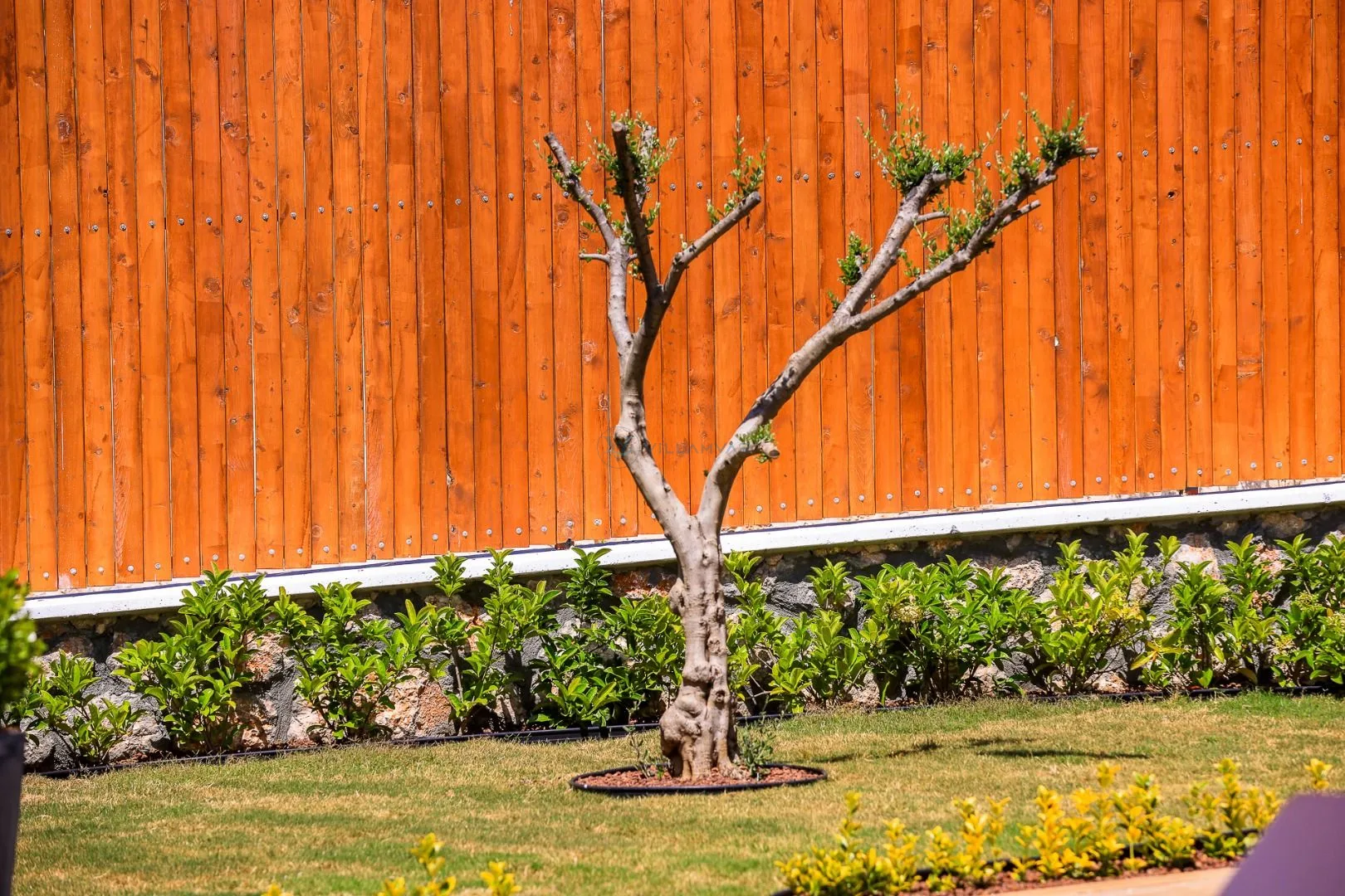 Villa Wooden House
