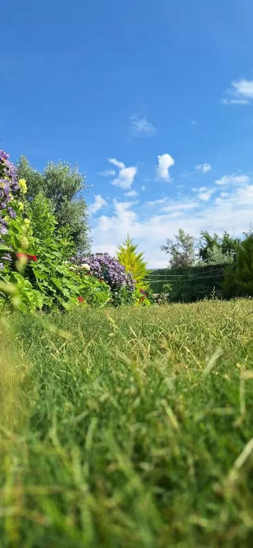 Villa Green Breeze