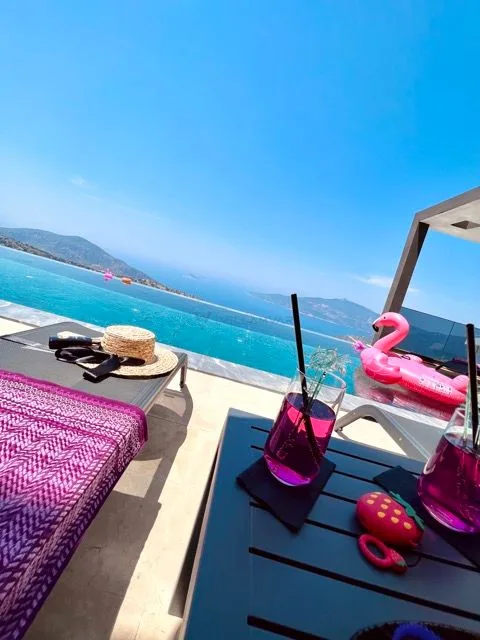 Villa Bıçak